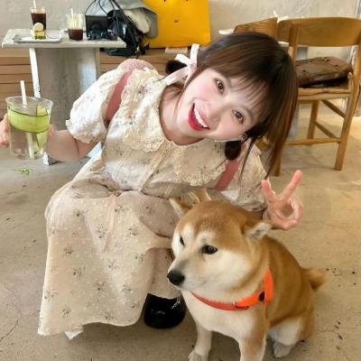 熊猫总动员