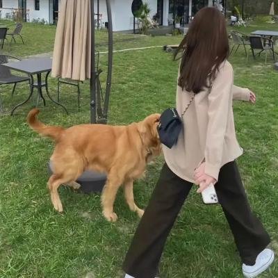 开心超人